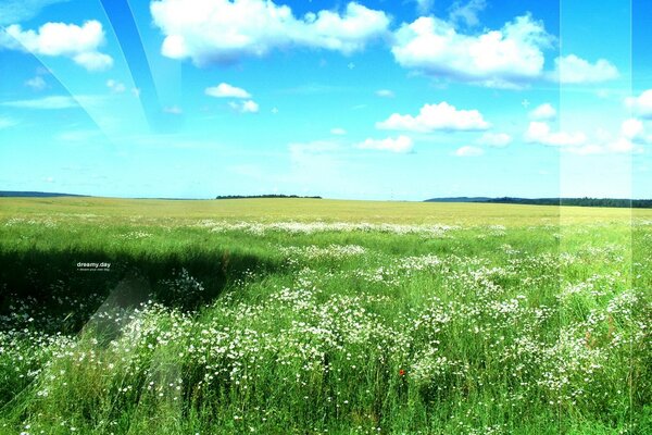 Schöner Himmel, das Feld ist grün