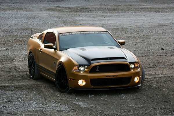 Golden Ford Mustang at the landfill