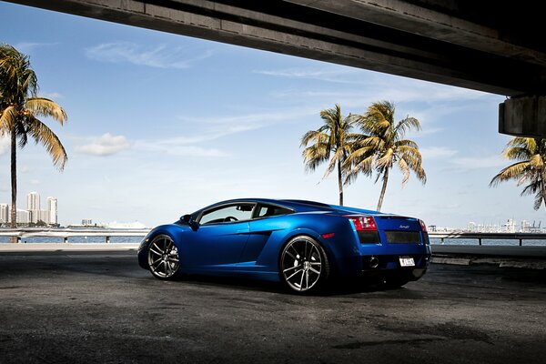 Blauer Lamborghini Gallardo von hinten auf Strandhintergrund