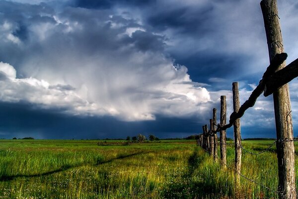 Cerca contra el fondo del campo verde y el cielo