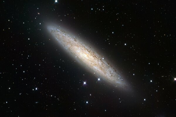 Galaxie lenticulaire, sculpteur, ngc 253