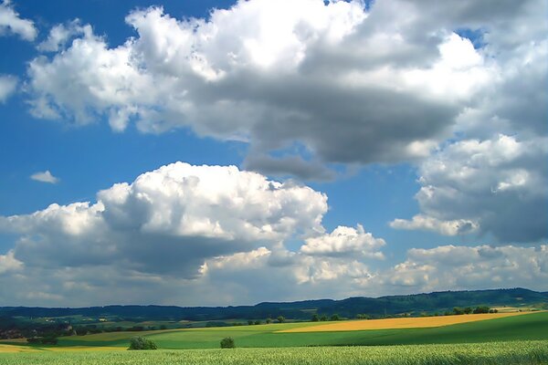 Chmury nad polem z zielenią i żniwami