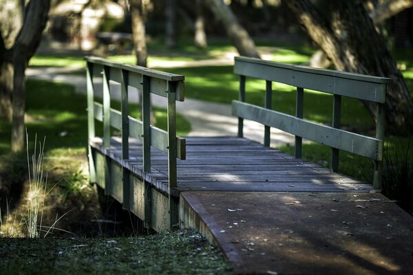 Camino al puente en el parque, callejón verde, árboles