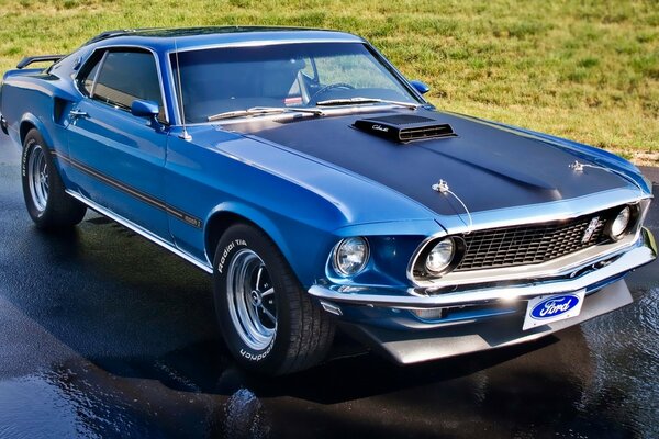 Blue mustang on wet asphalt