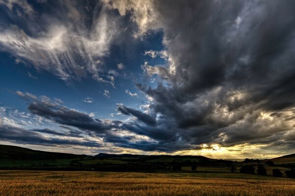 Ciel dans la nuit dans le champ