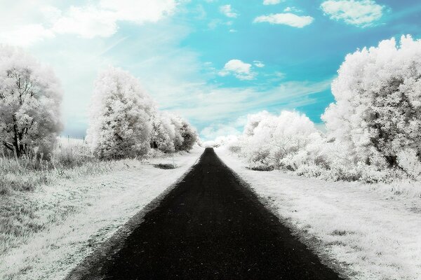 Beau ciel bleu en hiver