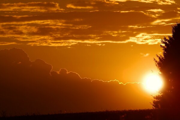 Yellow sky with fragments at sunset