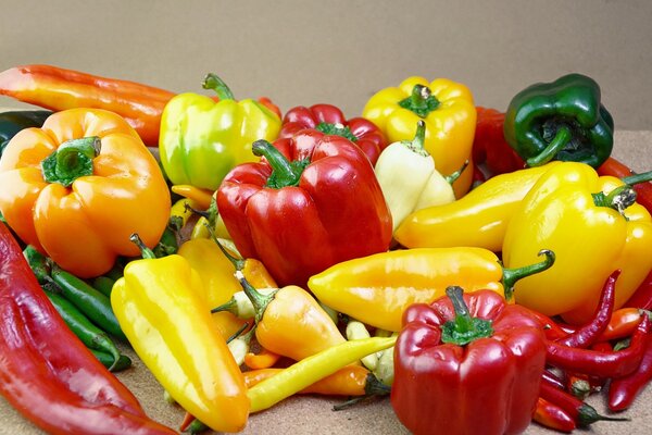 Pepper of different colors and shapes