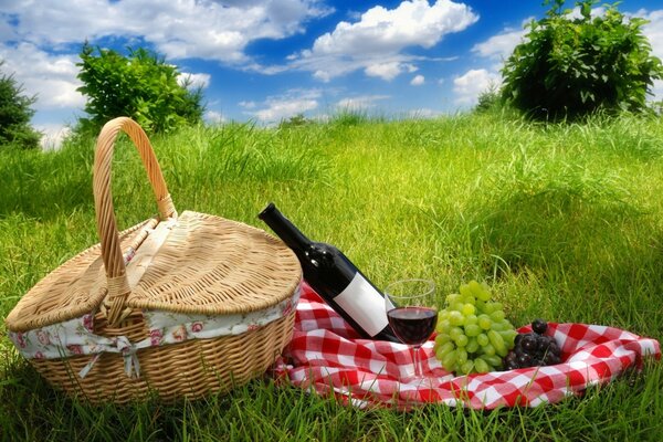 Picnic en la naturaleza con vino y uvas