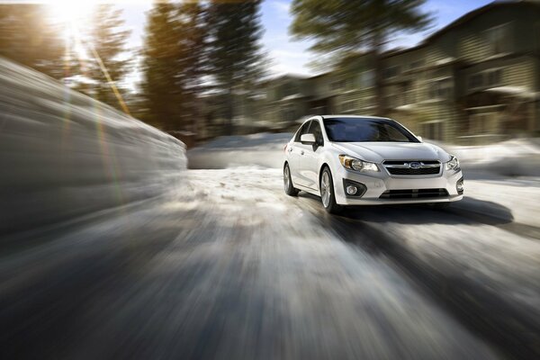 Sur la piste dans le contexte de la forêt se précipite à pleine vitesse Subaru Impreza