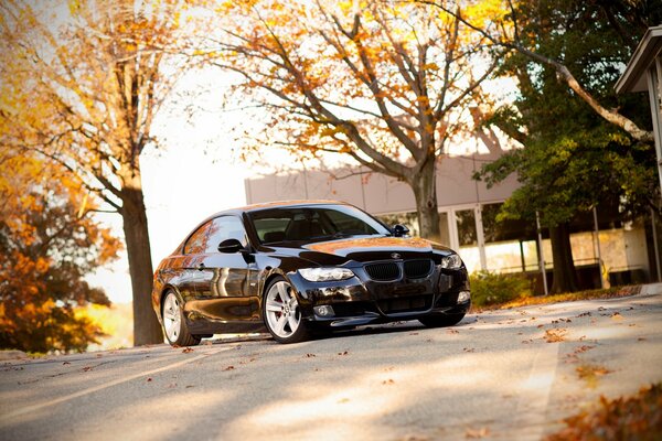 Schwarzer Bmw auf dem Hintergrund der Herbstbäume