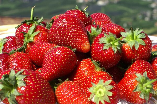 The smell of summer. Lots of strawberries