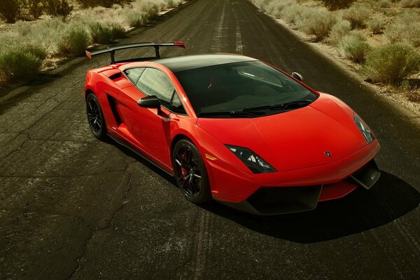 Lamborghini rouge sur une route vide