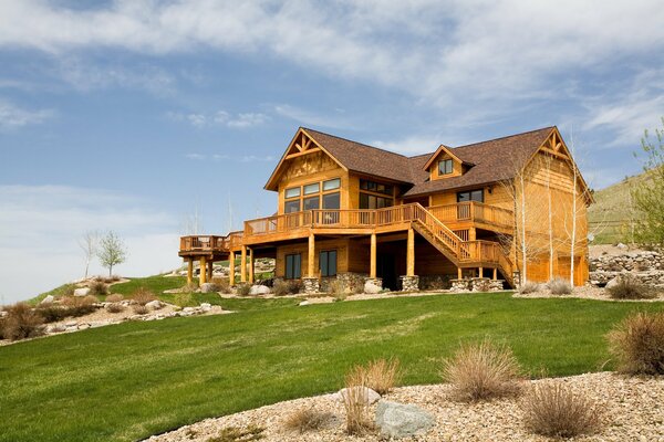 Wooden house in a green forest