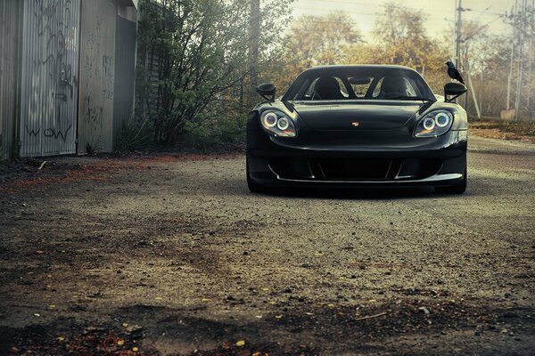 Black \ bird on a black Porsche