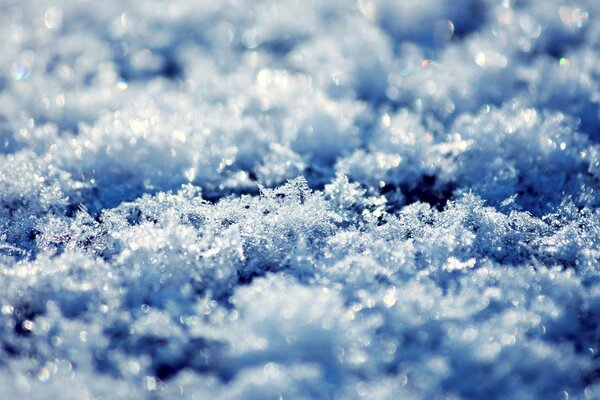 Schneeflocken in der Sonne. Makroaufnahme