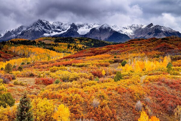 The colors of golden autumn in the mountains