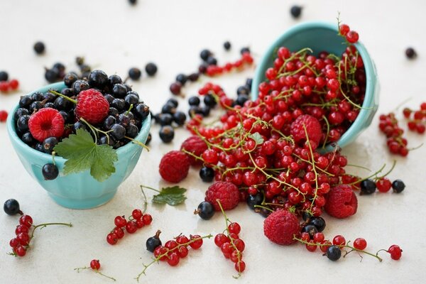 Beeren von Himbeeren und Johannisbeeren auf weißem Hintergrund