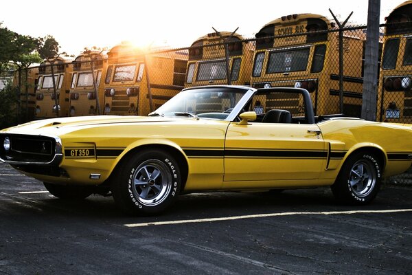 Retro gelber Mustang auf der Straße neben gelben Bussen