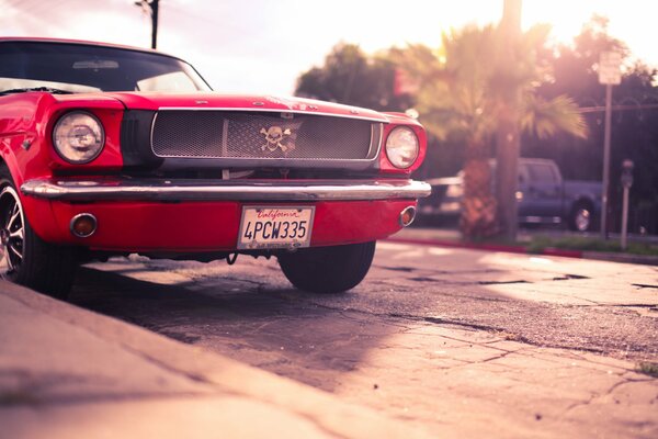 Red Mustang on the background of a rural landscape