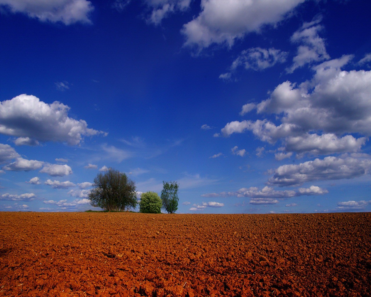 campo nuvole alberi