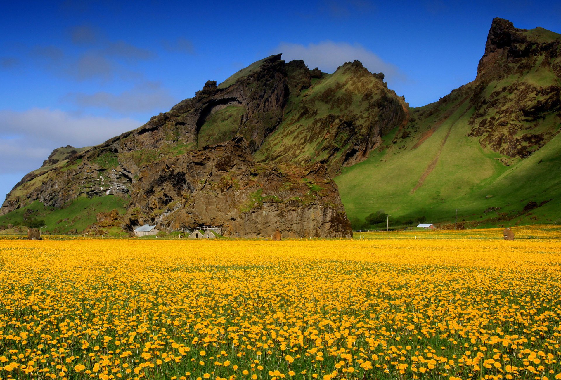 blumen feld tal himmel berge häuser