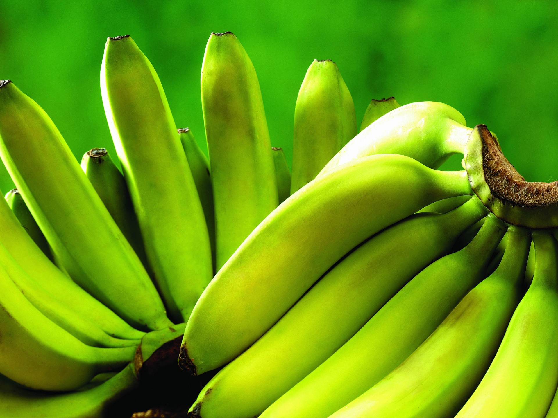 bananen obst grüns