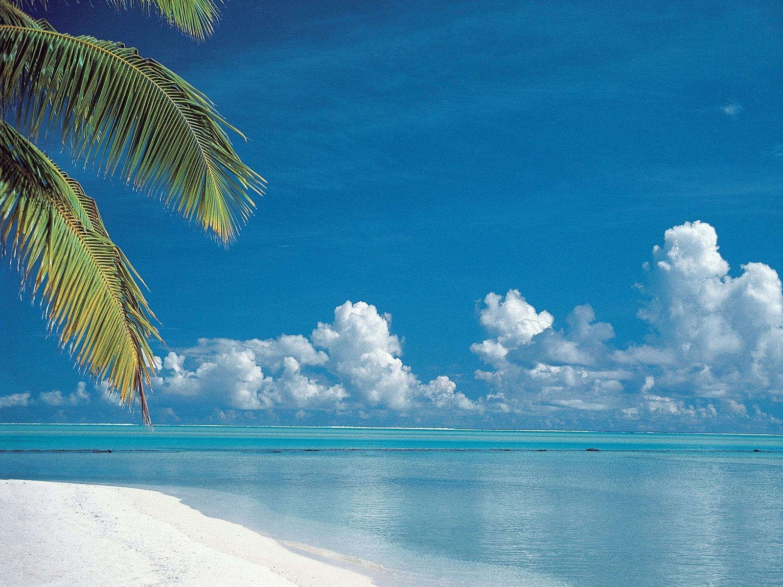 plage aitutaki îles cook