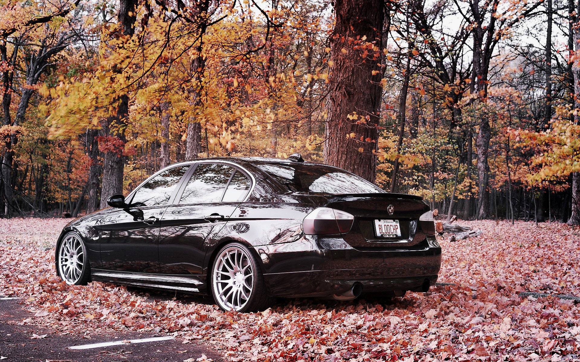 bmw 335i bmw auto wallpaper cars car