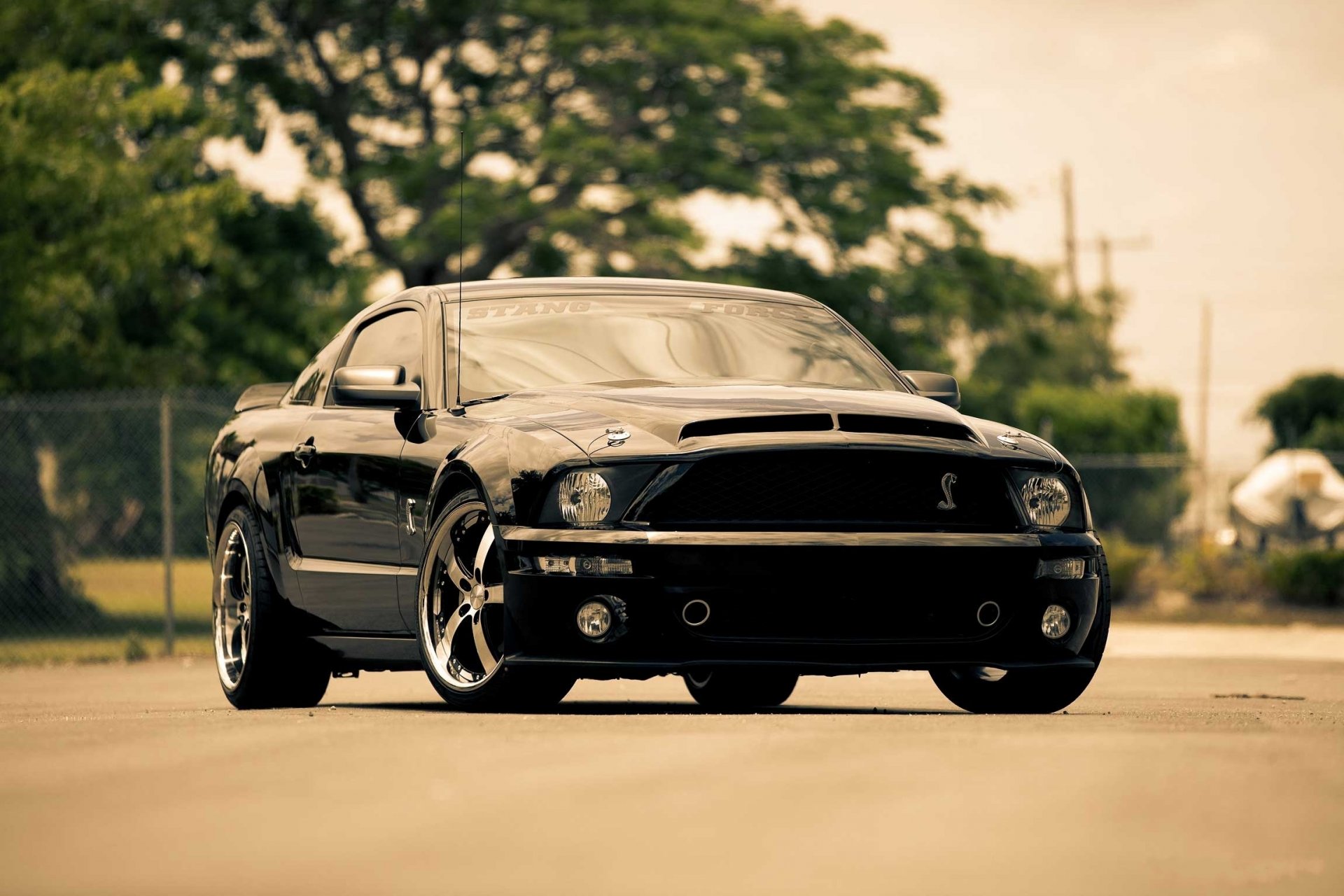 ford mustang gt black front