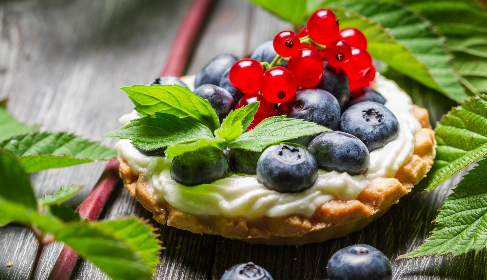 blueberries cake berries red currant