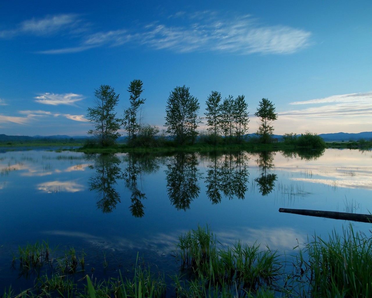 lake tree reflection