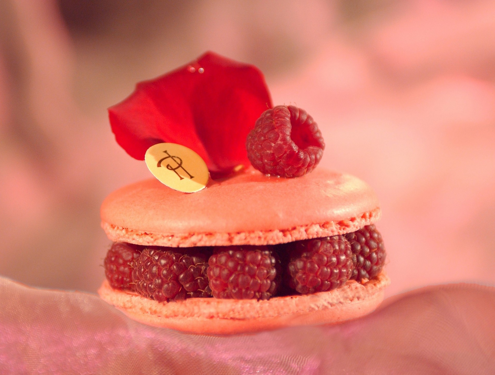 framboise baie gâteau biscuit alimentaire doux farce