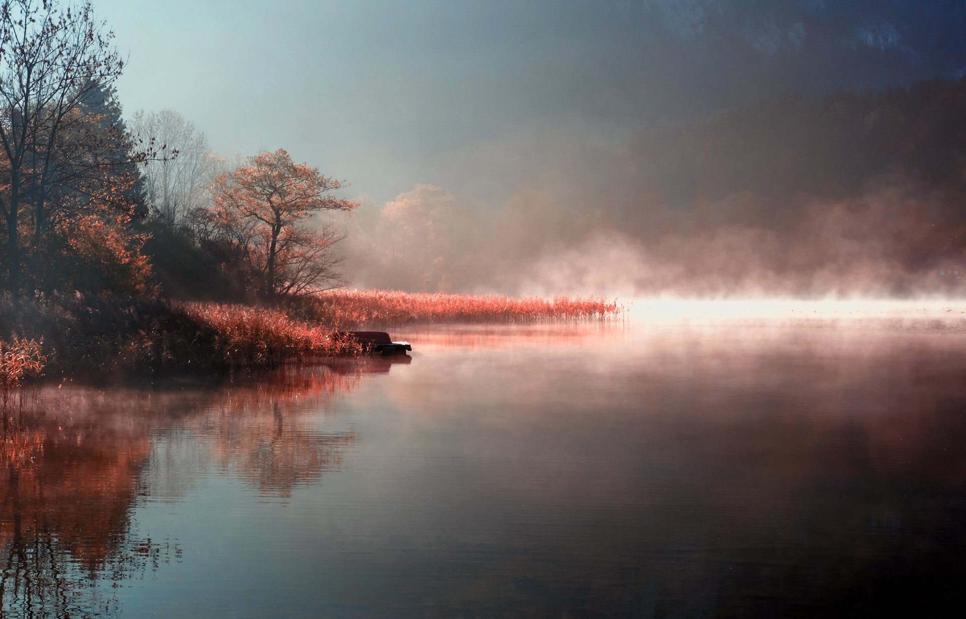 natura mattina vapore autunno lago fiume nebbia riva