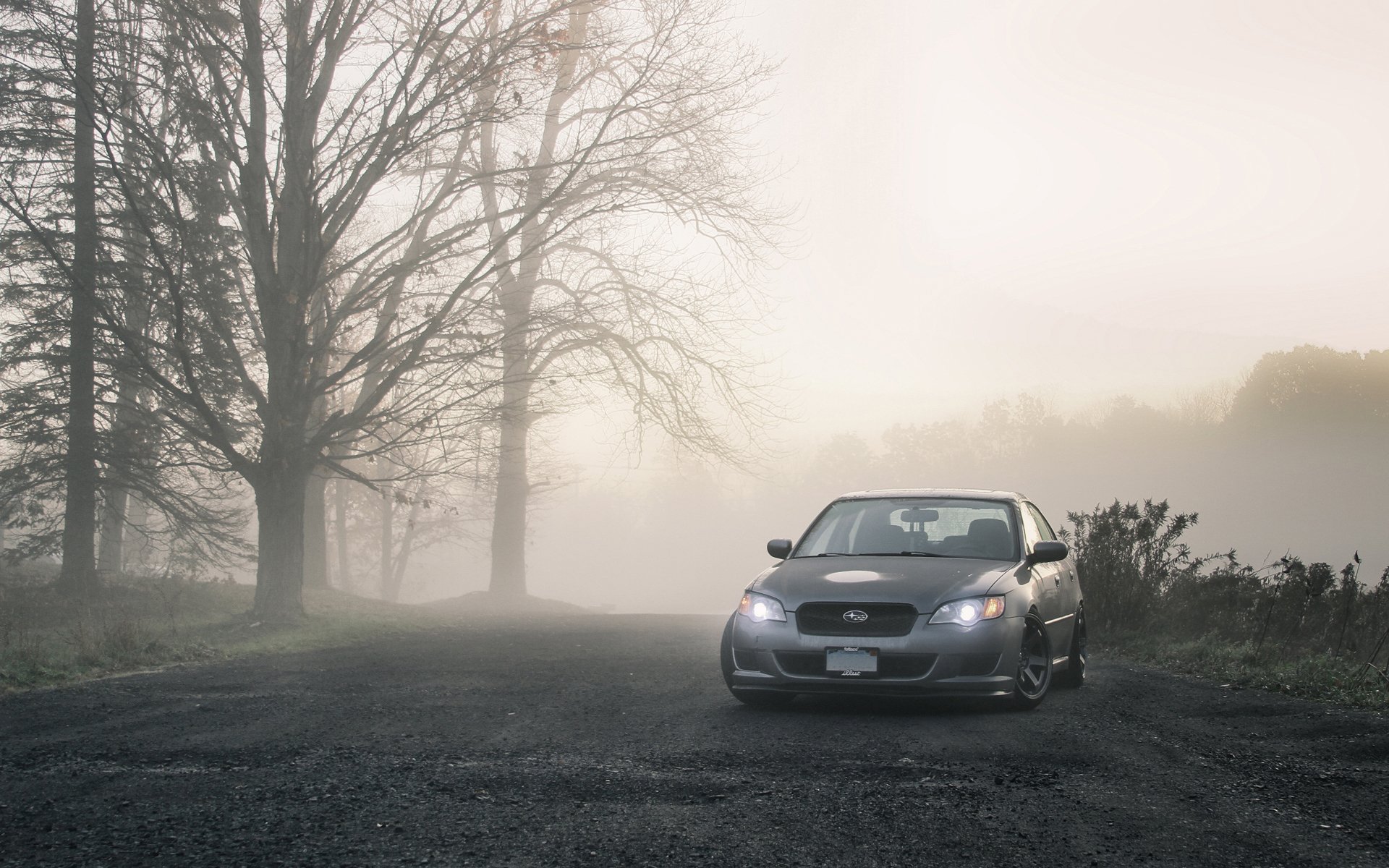 ubaru erbe subaru legasi schubkarren nebel straße baum bäume foto-autos