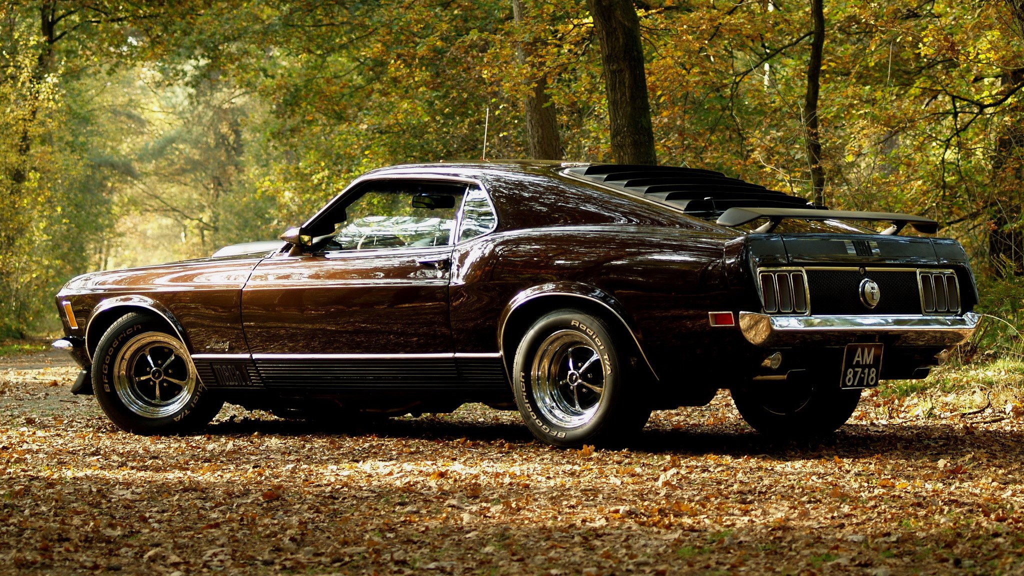 mustang musclecar car autumn