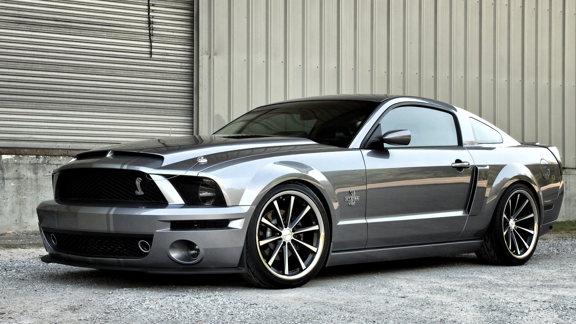 ford mustang shelby cobra car photo cars cars wallpapers auto wallpaper