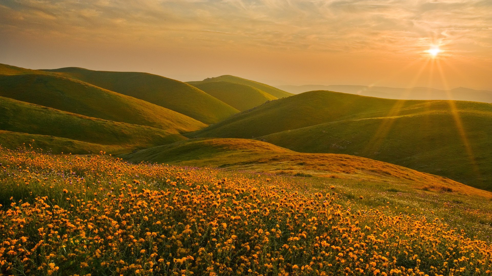 sierra nevada paysage californie