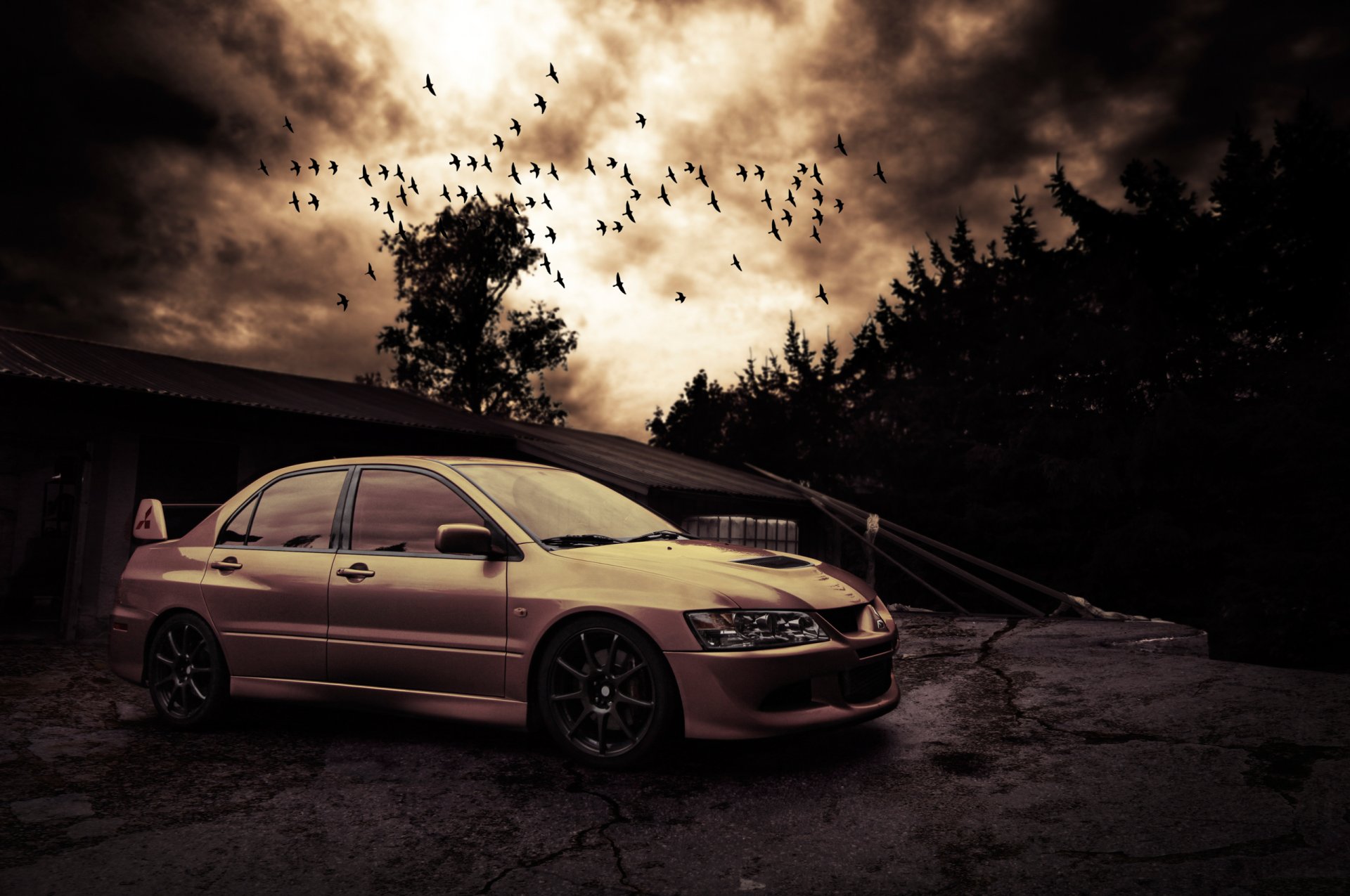 mitsubishi lancer evo viii aves noche