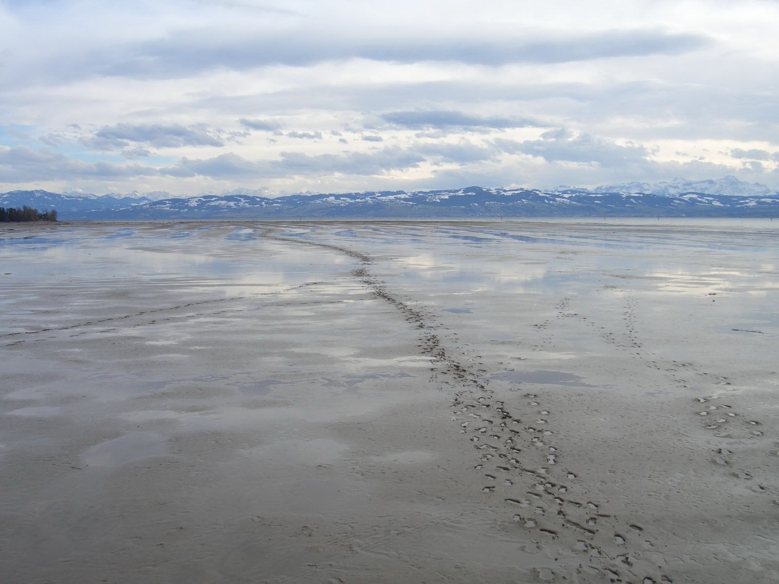 traces mountain tide