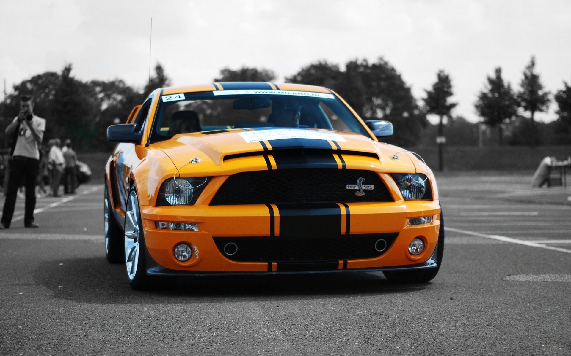 auto coches shelby gt500