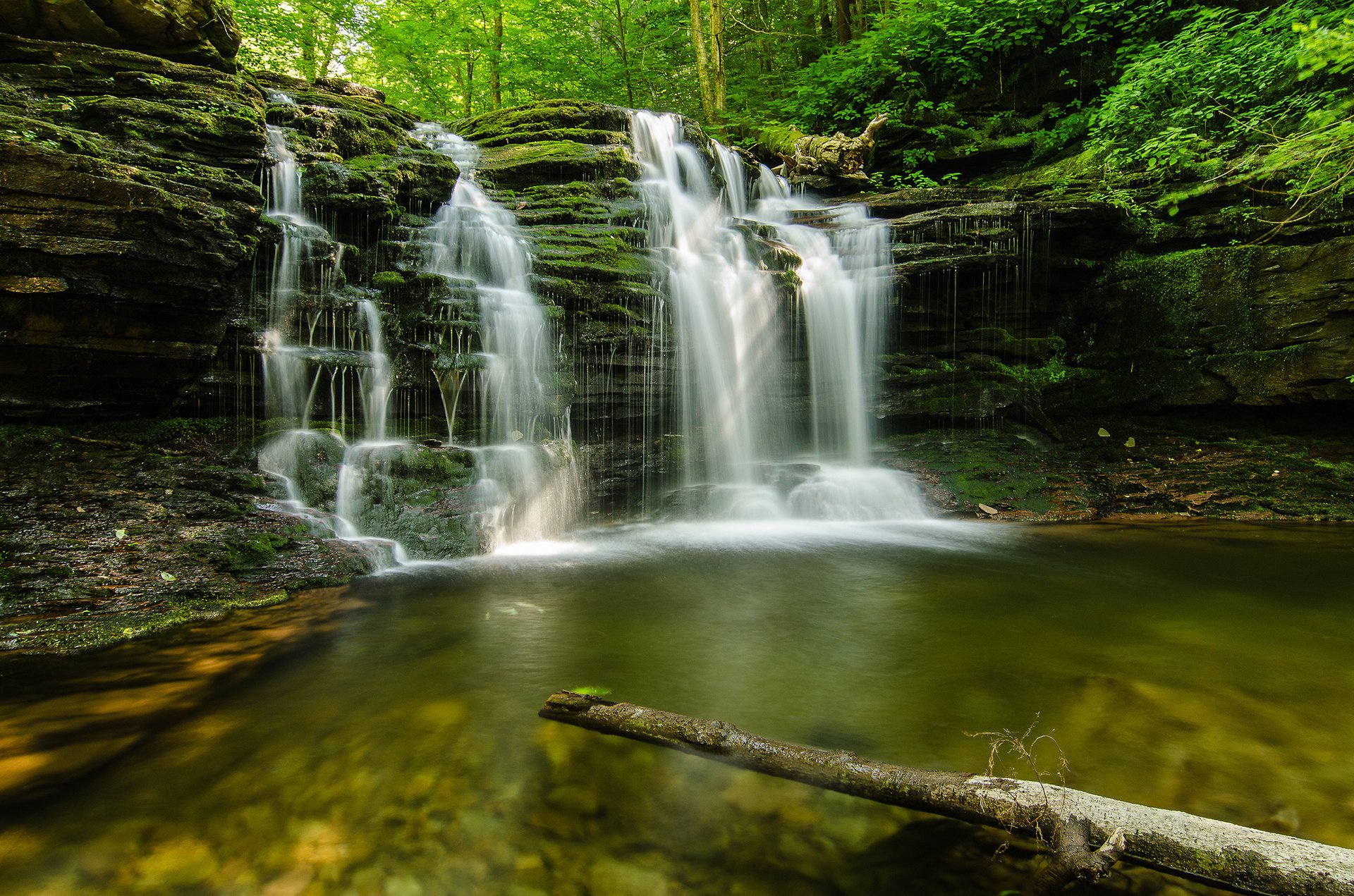 bach sommer wald steine natur