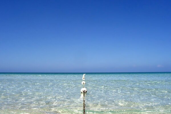 Photos of buoys going into the horizon