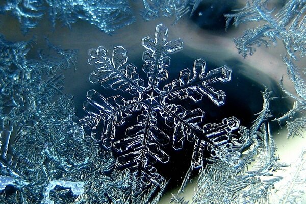 Winter frosty image of a cold snowflake snow