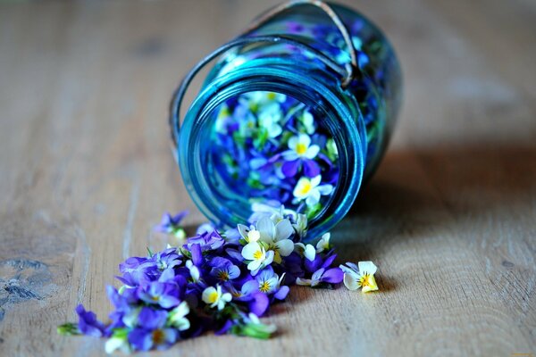 Blaue und violette Blüten sind aus dem Glas verstreut