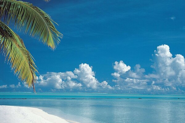 Plage d Aitutaki sur l île des Cook