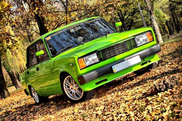 Lada of unusual color in autumn foliage