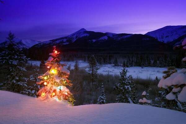 Nouvel an en hiver dans les montagnes