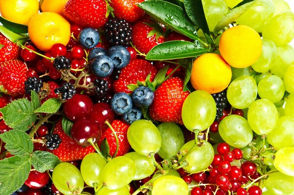 Assorted berries of different colors