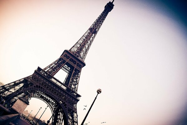 Parigi. Torre Eiffel su carta da parati con vivaio